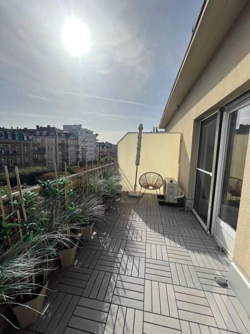 Appartement Cosy Orangerie Straßburg Exterior foto